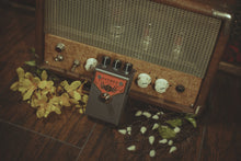 Load image into Gallery viewer, Beetronics Fatbee *Limited Edition Edition